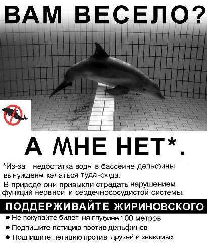 ВАМ ВЕСЕЛО? А МНЕ НЕТ*. *Из-за недостатка воды в бассейне дельфины вынуждены качаться туда-сюда В природе они привыкли страдать нарушением функций нервнои и сердечнососудистои системы ПОДДЕРЖИВАИТЕ ЖИ