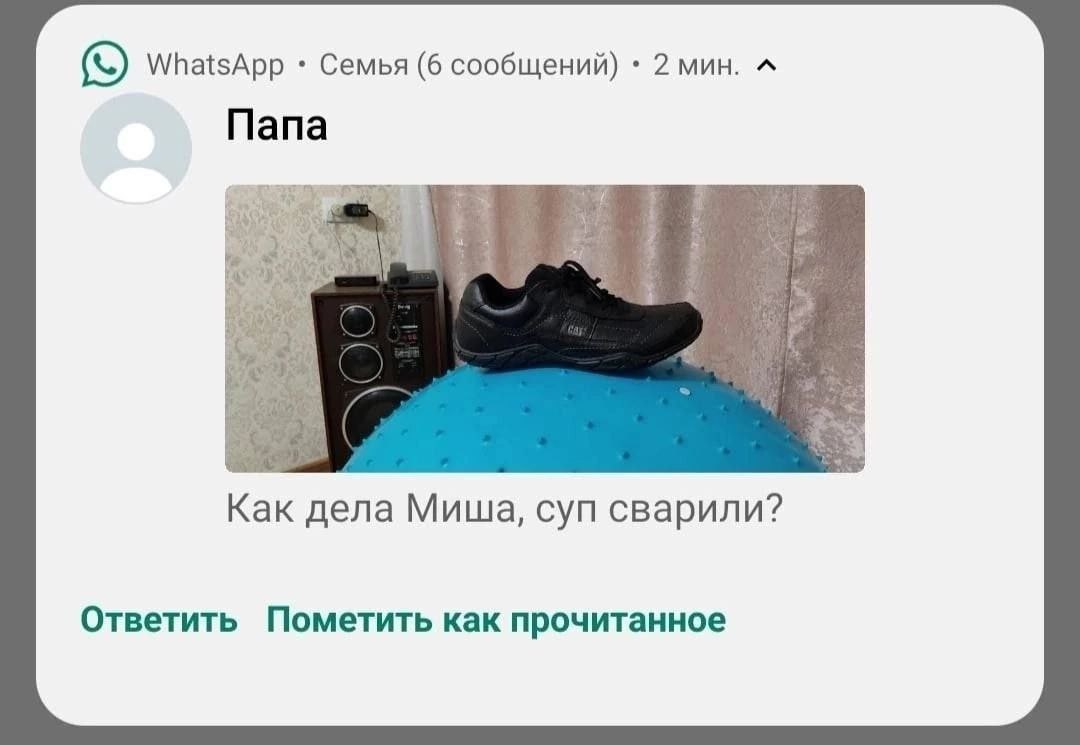 WhatsApp Семья (6 сообщений) 2 мин. A Папа A Как дела Миша, суп сварили? Ответить Пометить как прочитанное