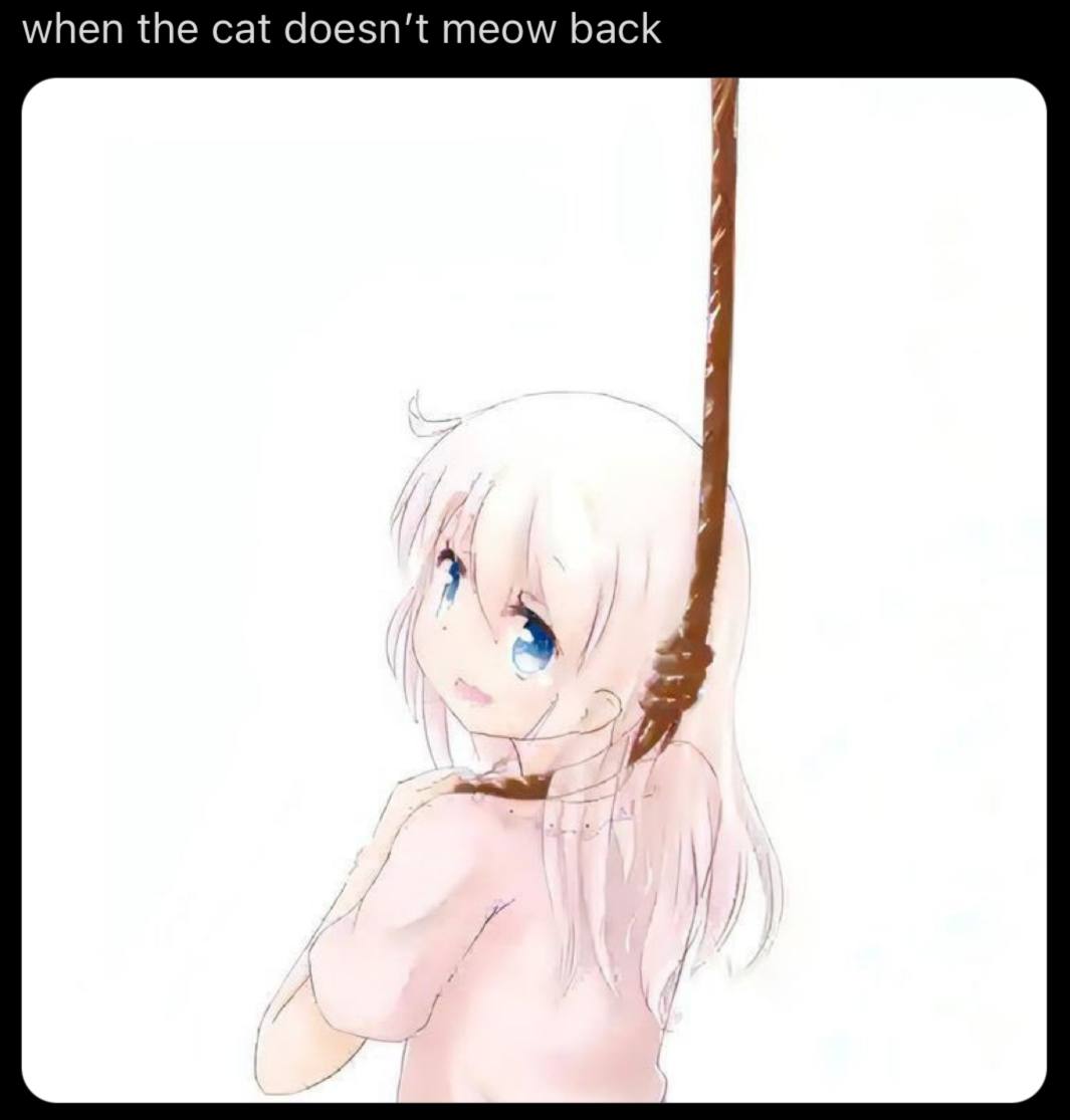 when the cat doesn't meow back