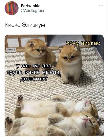 Periwinkle @Adellagreen Киско Элизиум вискас 8 тут. два, 2 3