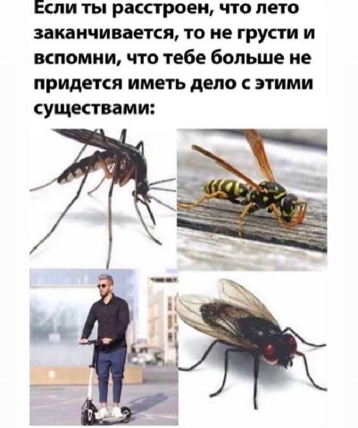 Если ты расстроен, что лето заканчивается, то не грусти и вспомни, что тебе больше не придется иметь дело с этими существами: 4 4 Tes
