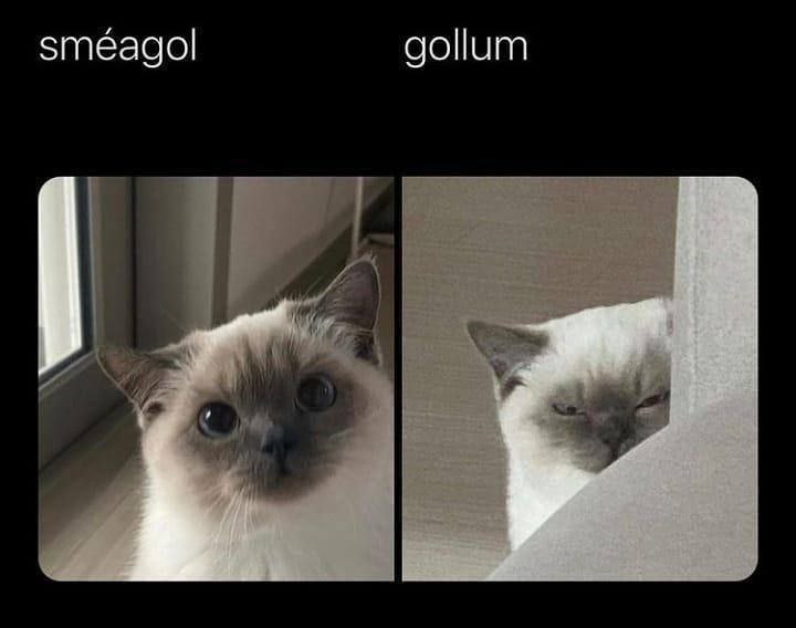 smeagol gollum