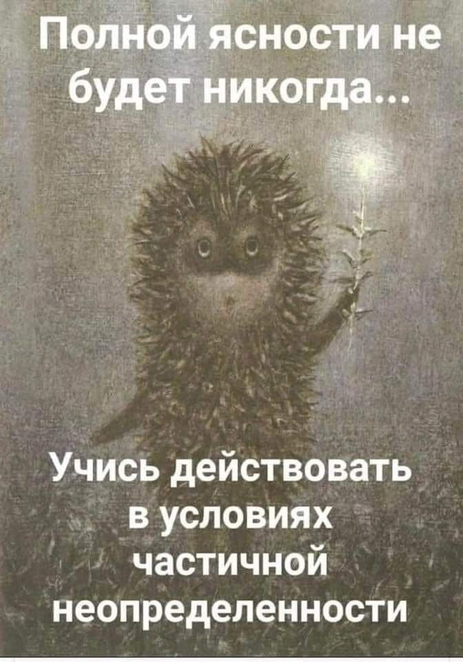 Полной ясности не будет никогда... Учись действовать в условиях частичной неопределенности