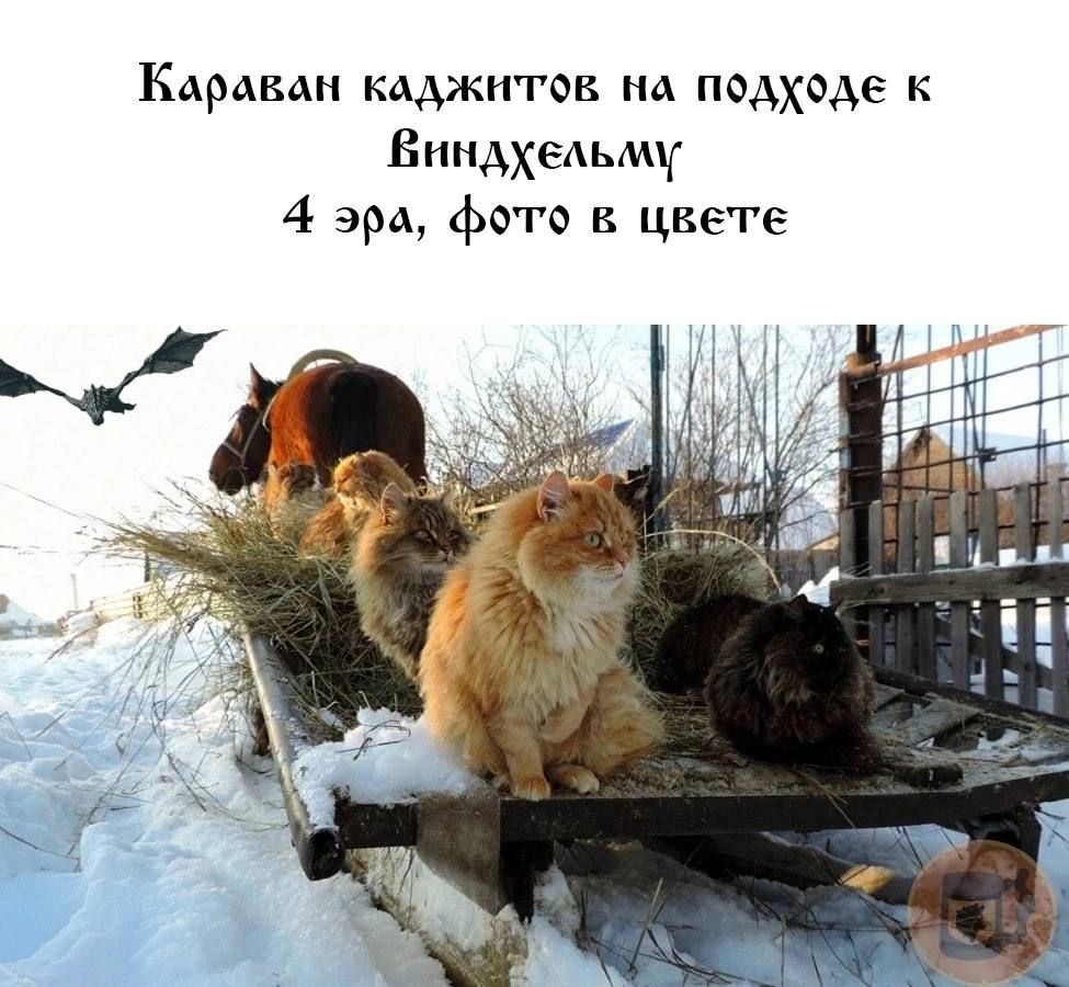 Караван ПОДХОДЕ К 4 apa, фото в 4