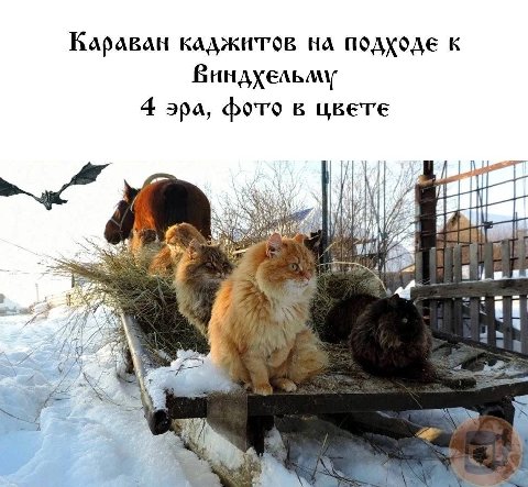 Караван ПОДХОДЕ К 4 apa, фото в 4