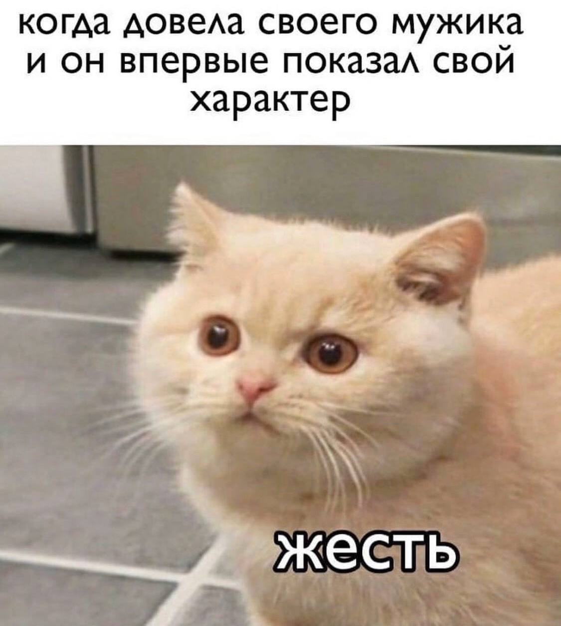 когда довела своего мужика и он впервые показал свой характер 4