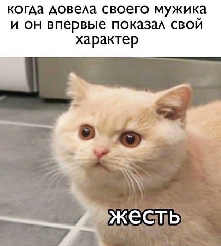 когда довела своего мужика и он впервые показал свой характер 4