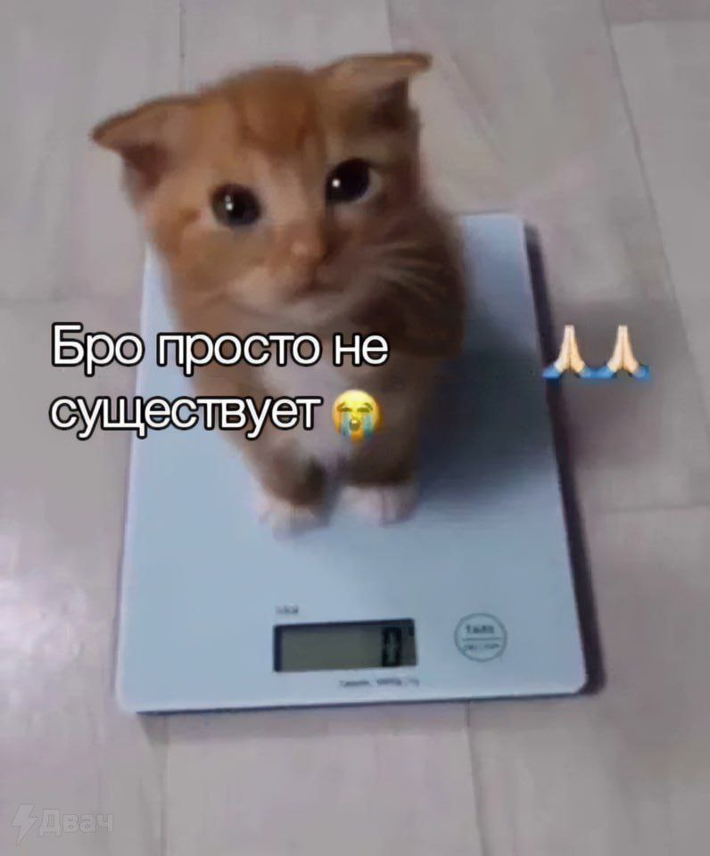 Бро просто не существует