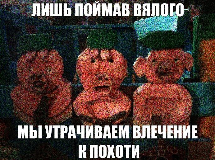 ЛИШЬ ПОЙМАВ BANOLO- МЫ УТРАЧИВАЕМ ВЛЕЧЕНИЕ КПОХОТИ