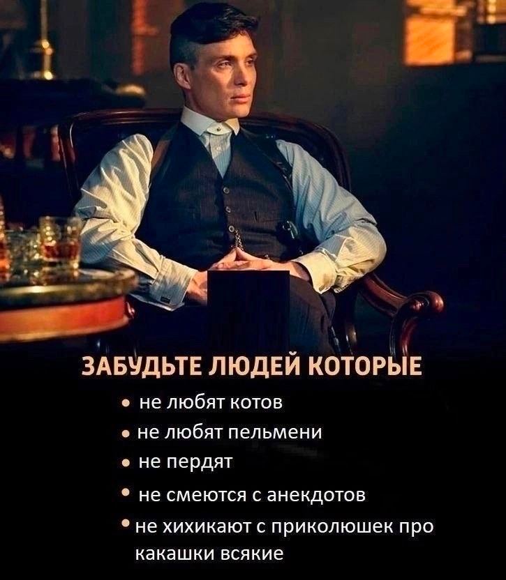 ЗАБУДЬТЕ ЛЮДЕЙ КОТОРЫЕ не любят котов не любят пельмени не пердят не смеются с анекдотов не хихикают с приколюшек про какашки всякие