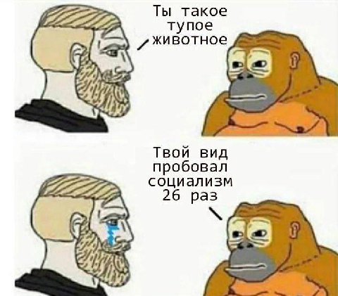 Ты такое тупое Твой вид пробовал 722727 22772 социализм 26 раз