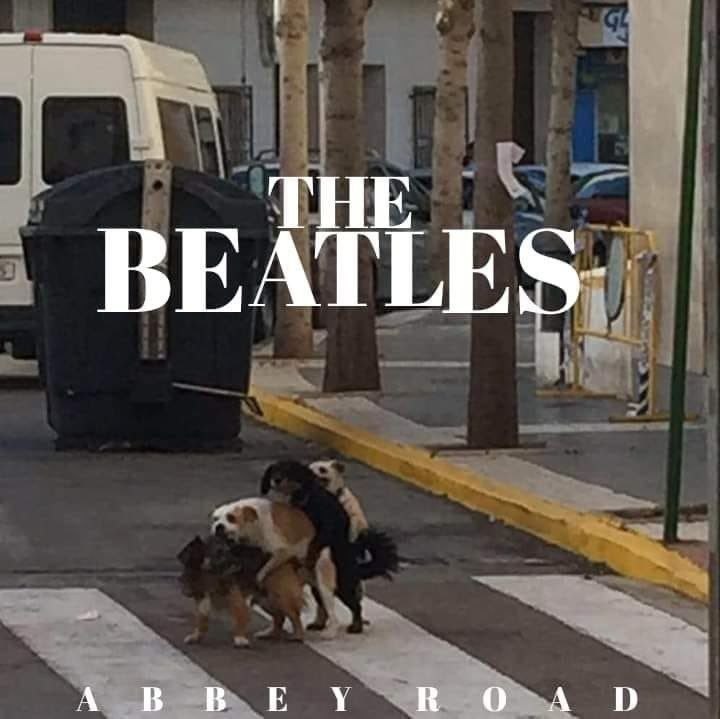 THE
