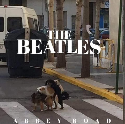 THE