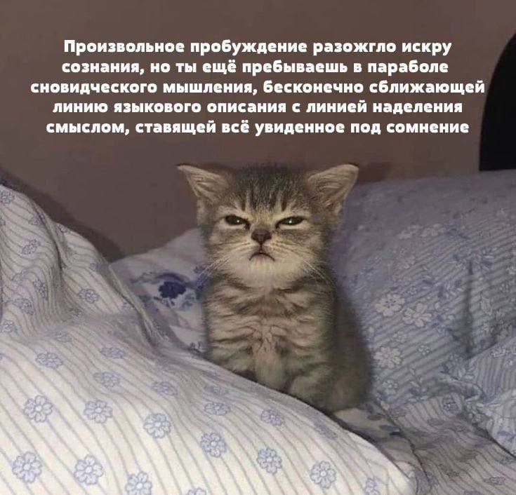 Произвольное пробуждение разожгло искру сознания, но ты ещё пребываешь в параболе сновидческого мышления, бесконечно сближающей линию языкового описания с линией наделения смыслом, ставящей всё увиден