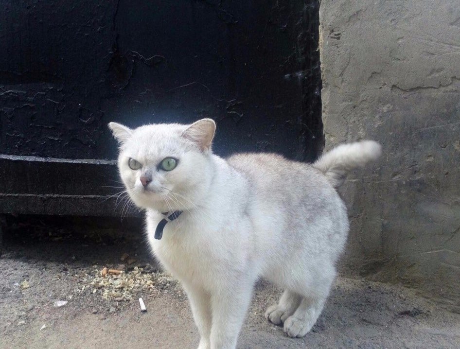 7 4