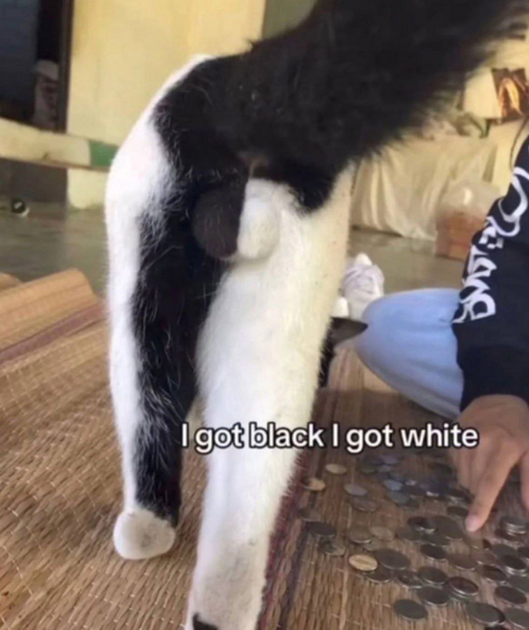 я gotjblack got white