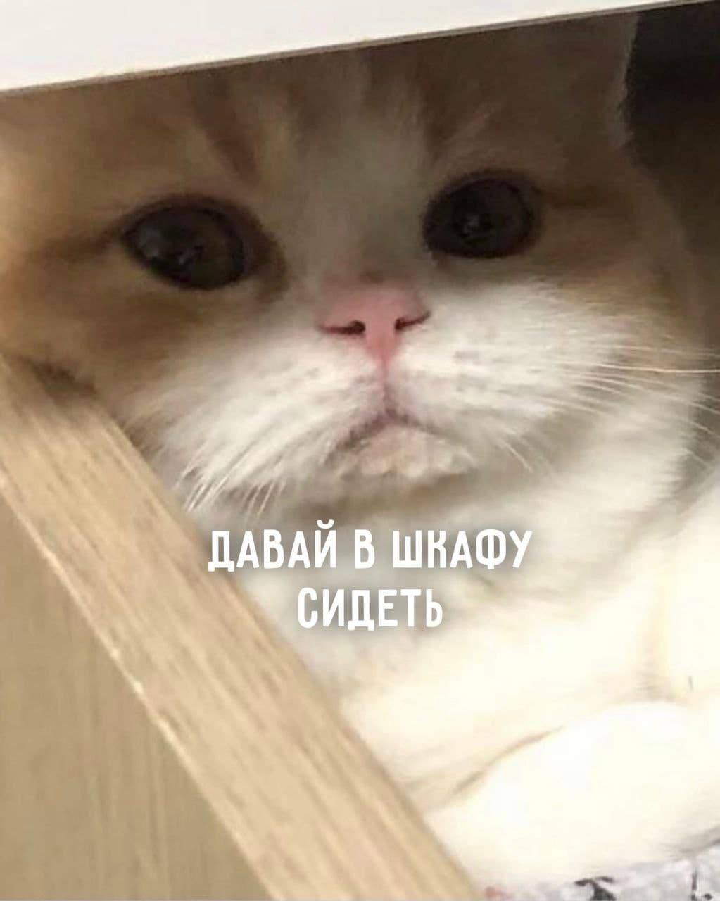 4 ПАР