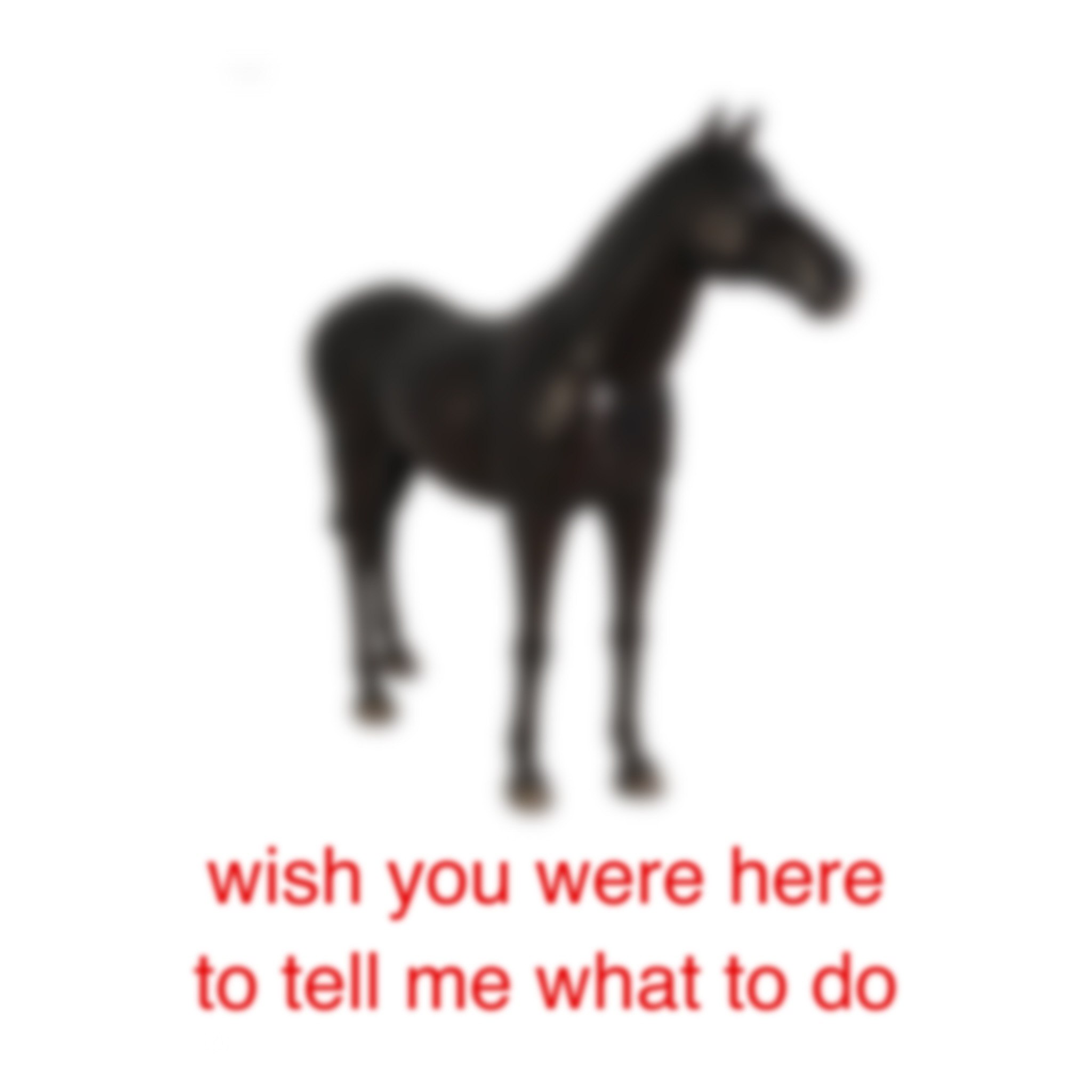 wish you were here to tell me what to