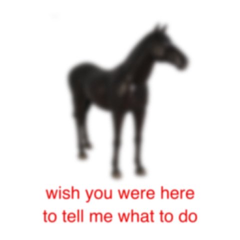 wish you were here to tell me what to