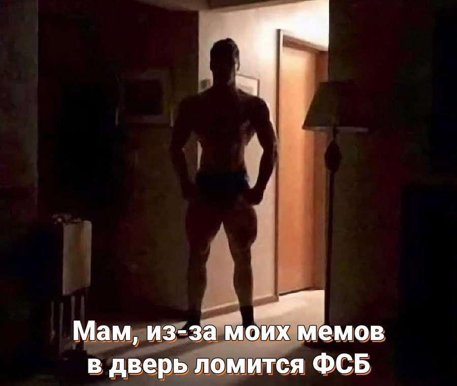 Мам, из-за моих мемов в дверь ломится ФСБ