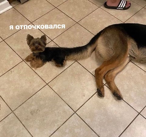 я отпочковался