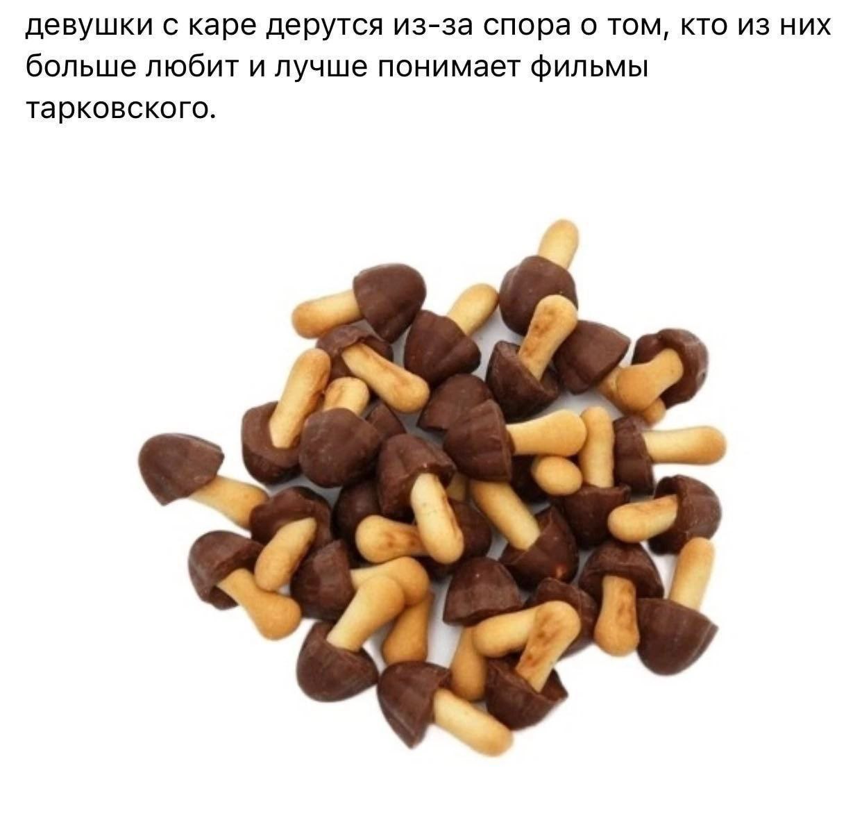 девушки с каре дерутся из-за спора о том, кто из них больше любит и лучше понимает фильмы тарковского.