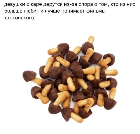 девушки с каре дерутся из-за спора о том, кто из них больше любит и лучше понимает фильмы тарковского.