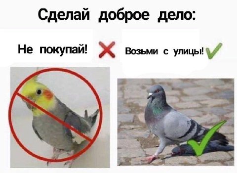 Сделай доброе дело: Не покупай! возьми с