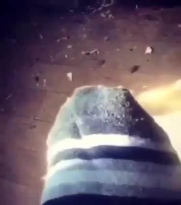 Я каждый раз улыбаюсь, когда натыкаюсь на это видео, оно пошло на очередной виток перепостов. Мало кто знает, но это мой авторский контент и моя нога)
