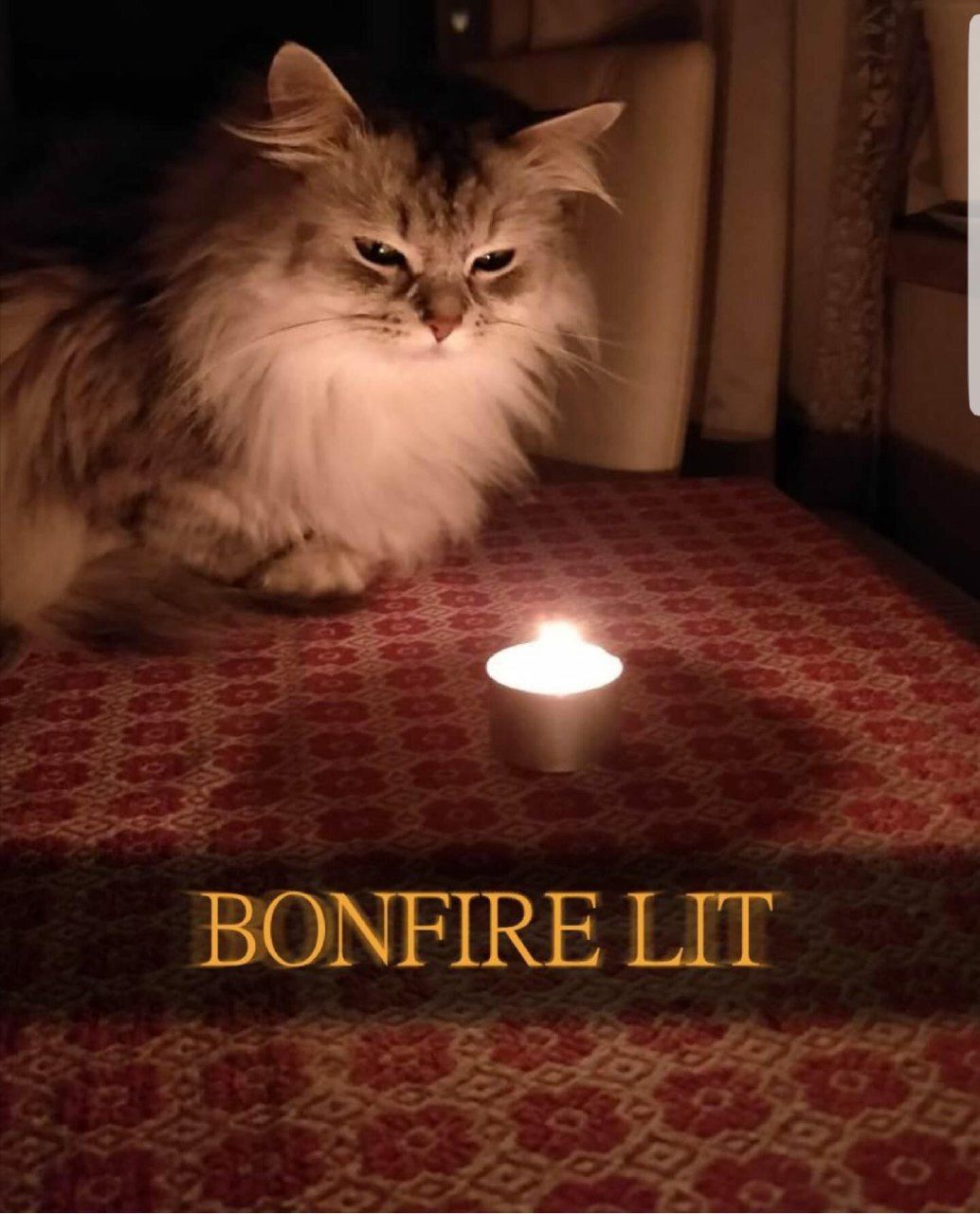 BONFIRE LIT