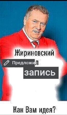 Жириновский Предложий запись Как Вам идея?