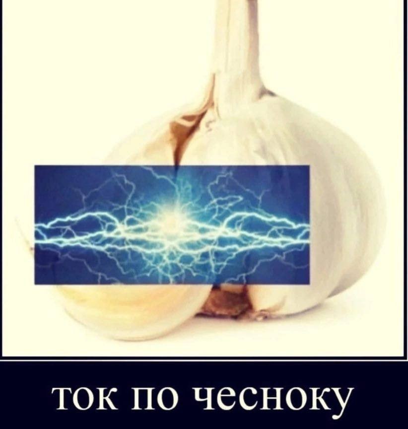 ток по чесноку