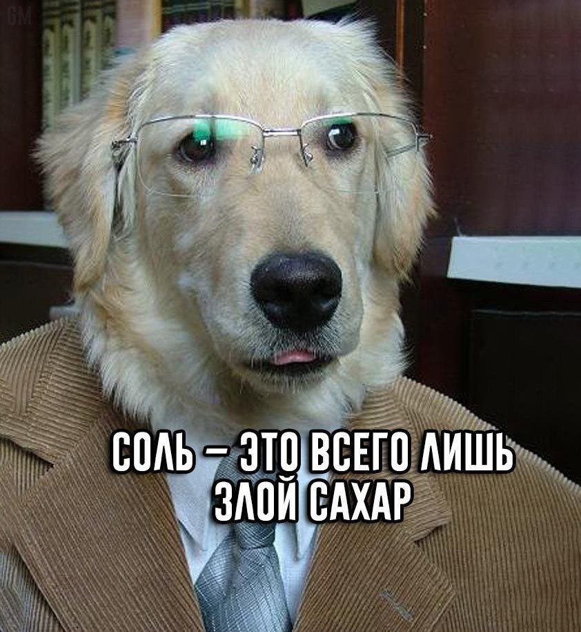 a 4, СОЛЬ ВСЕГО) ЛИШЬ ААА Way САХАР i У i