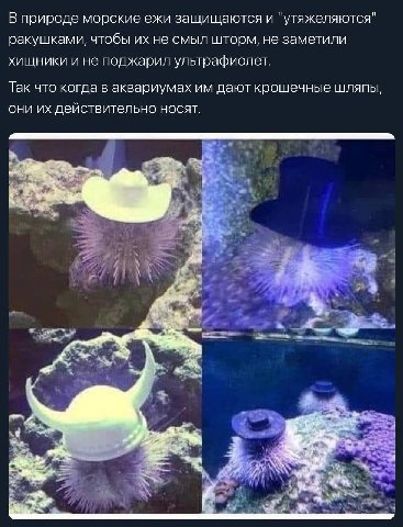 напоминау