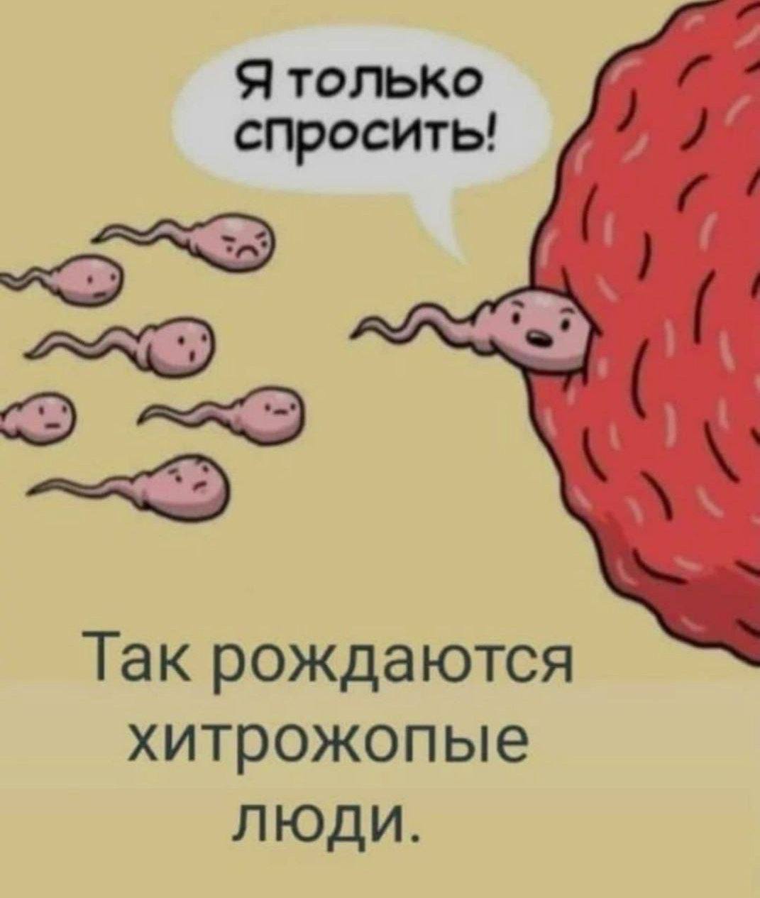 Ятолько спросить! Так рождаются хитрожопые люди.