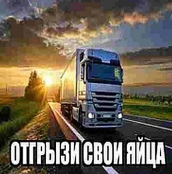 СВОИ ЯЙЦА