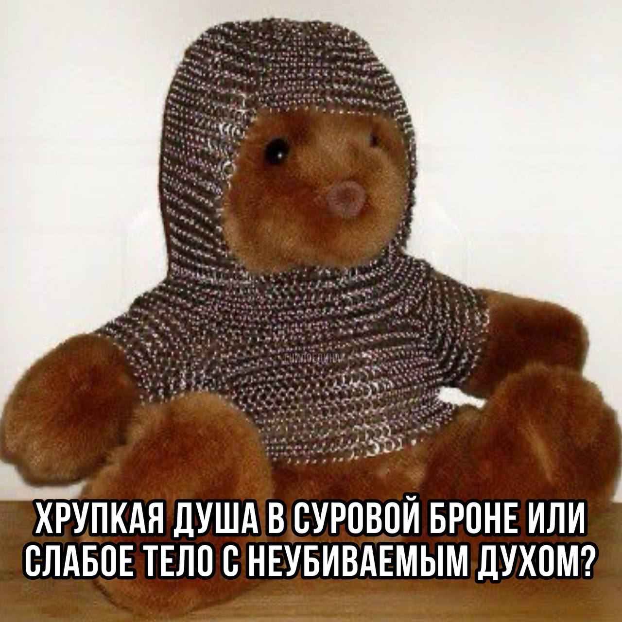 важный выбор
