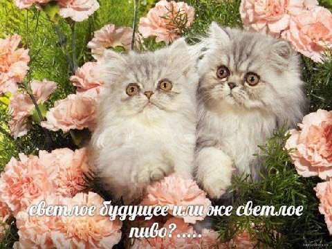 же сбетлое