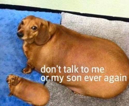 don't talk to me or my son ever again
