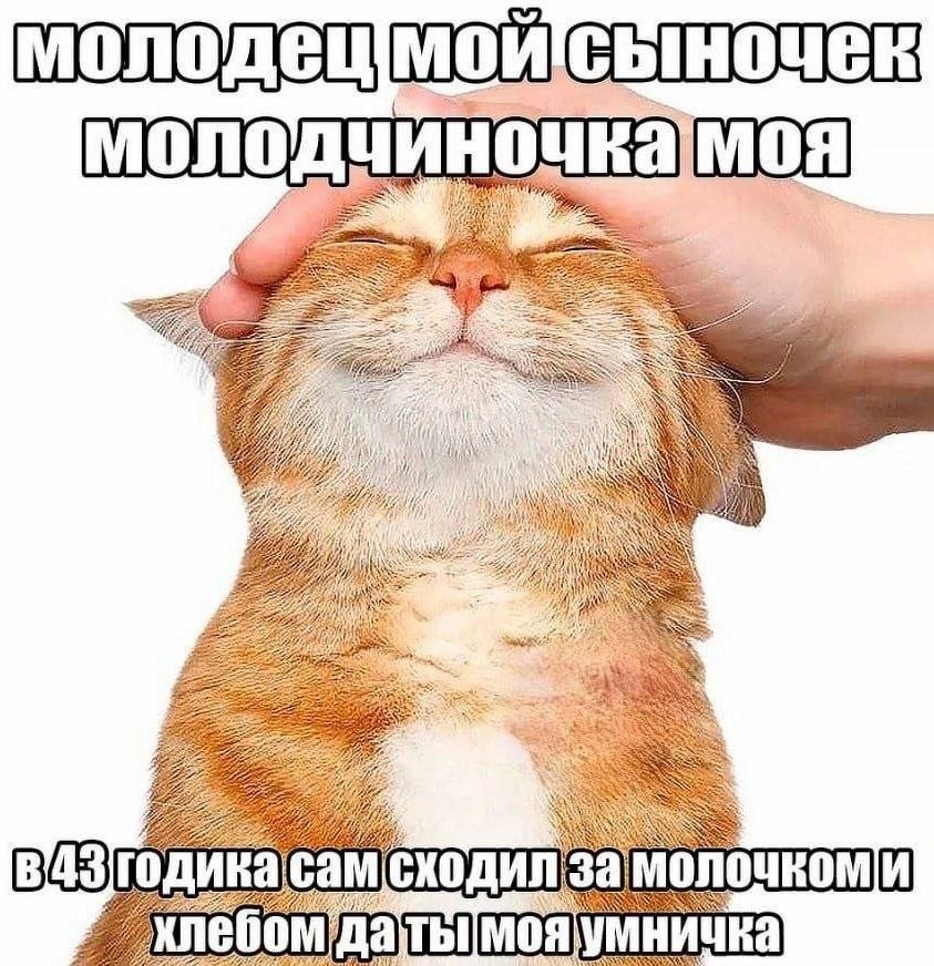 молодещмойсыночек a молод 5 7 SON у LSS. it if 2255 AN 8743 годика сам СХОДИЛ за И умничка