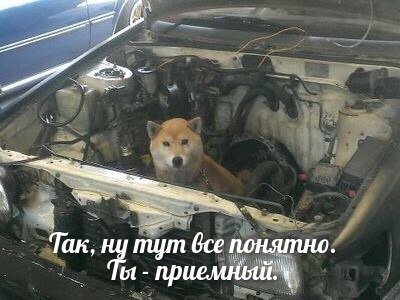 Так, ну тут Все понятно