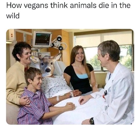 How vegans think animals die in the wild a€ a