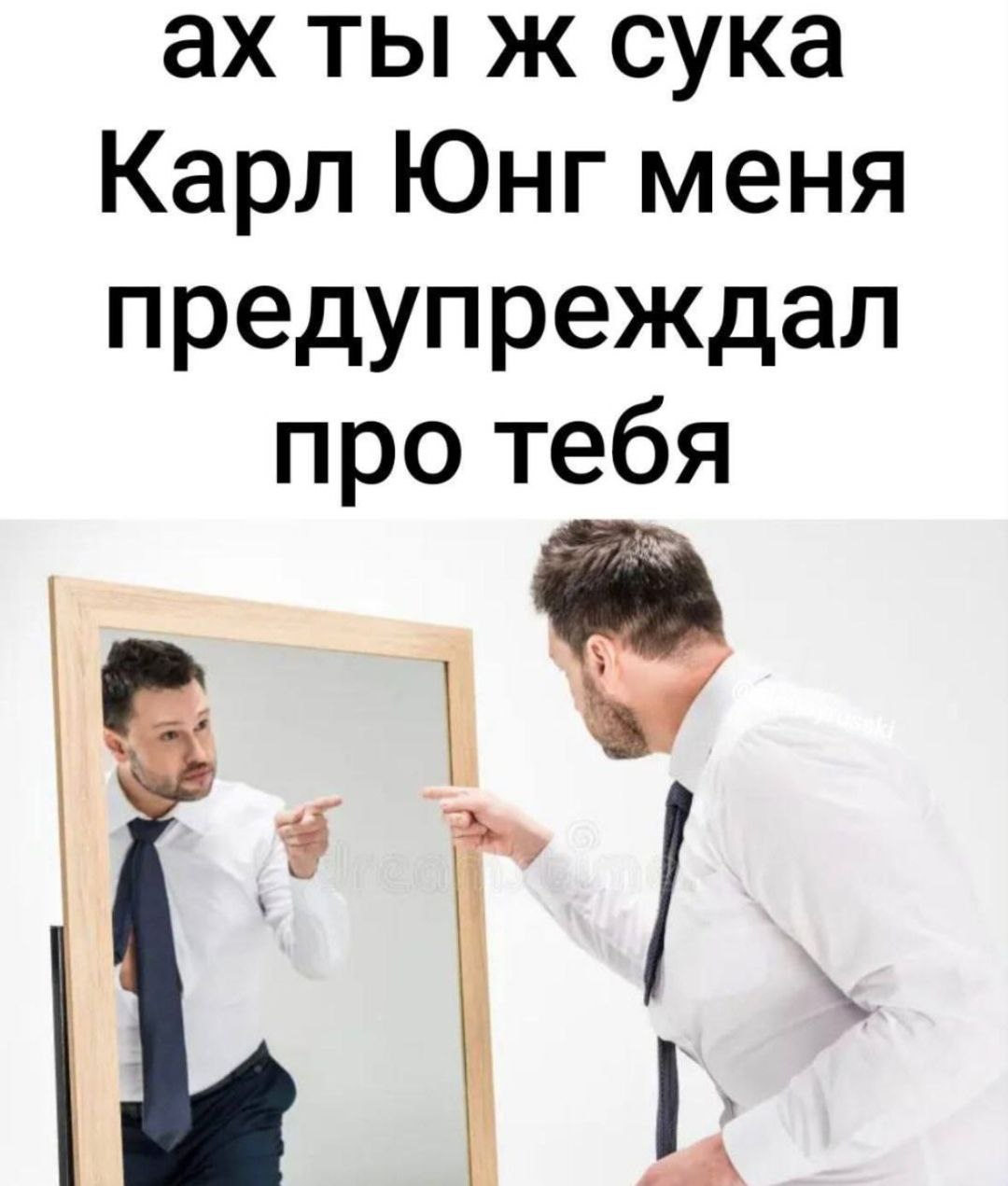 ты ж сука Карл Юнг меня предупреждал про тебя
