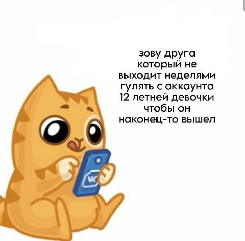 зову друга который не выходит неделями гулять с аккаунта 12 летней девочки чтобы он наконец-то вышел