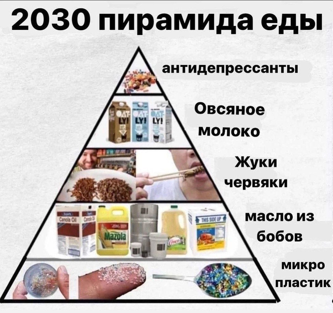 2030 пирамидаеды антидепрессанты Овсяное молоко Жуки червяки Of масло из бобов микро пластик