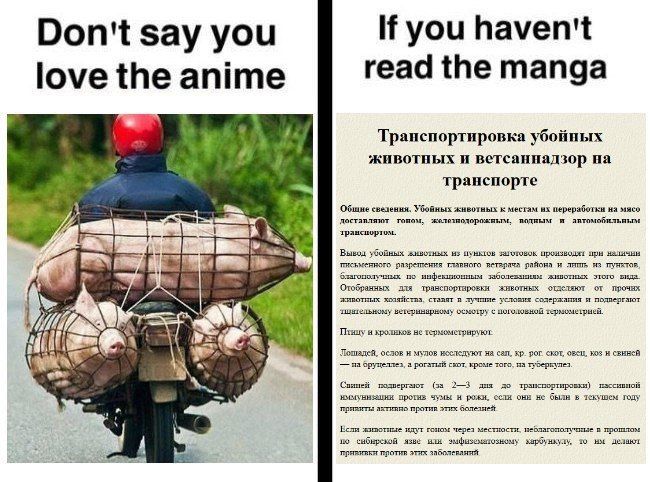 If you haven't Don't say you love the anime read the manga Транспортировка убойных животных и ветсаннадзор на транспорте свелення. Убойных жнвотных к месгам переработьн мясо доставляют подным и зрансп
