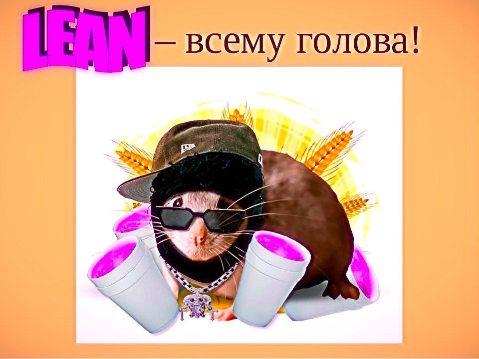 всему голова!
