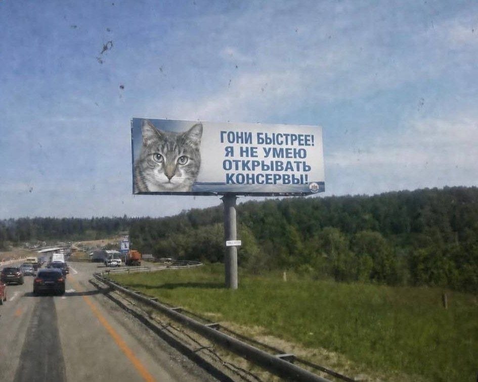 a TOHM БЫСТРЕЕ Я НЕ УМЕЮ ОТКРЫВАТ