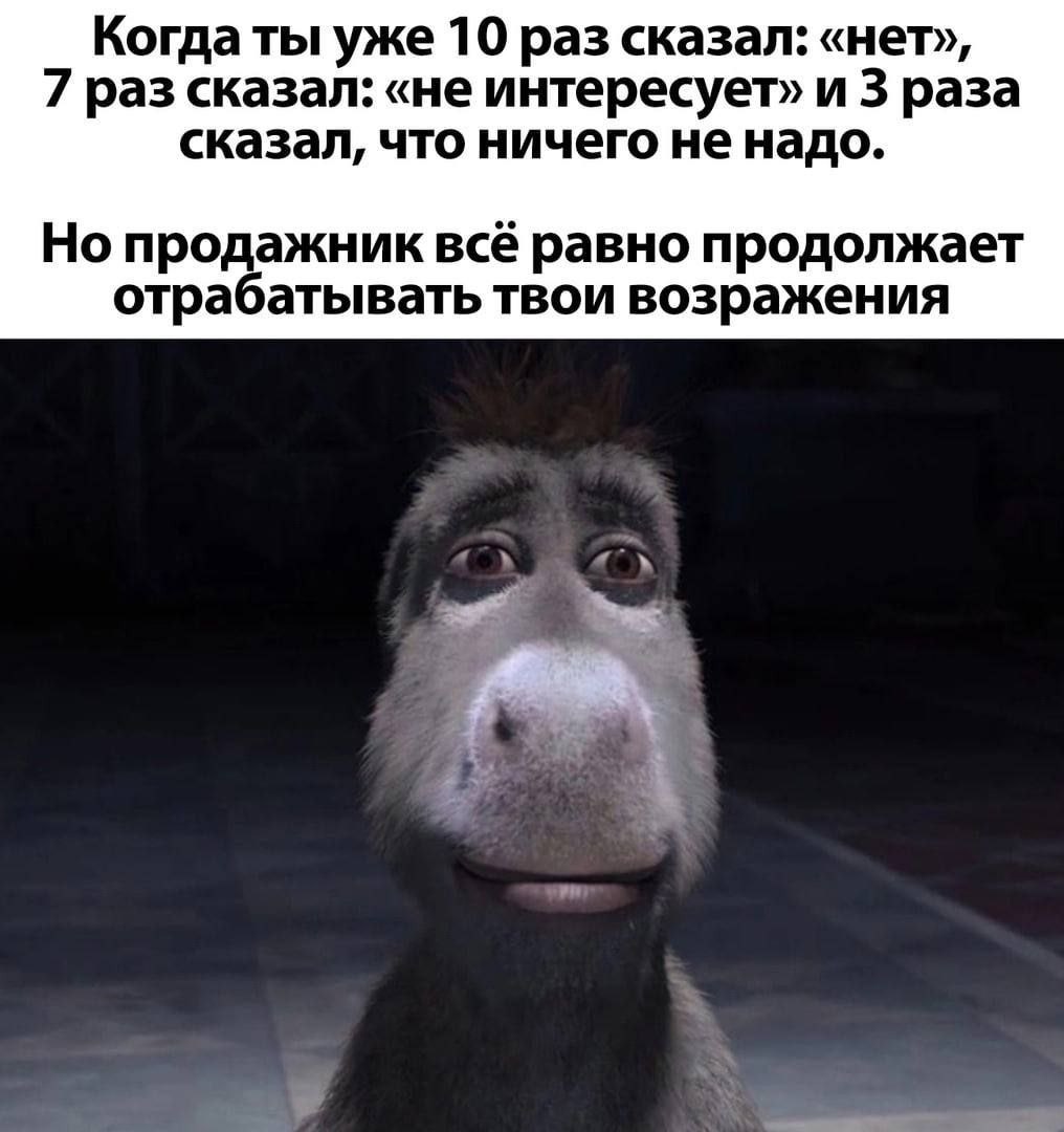 Когда ты уже 10 раз сказал: «нет», 7 раз сказал: «не интересует» и 3 раза сказал, что ничего не надо. Но продажник всё равно продолжает отрабатывать твои возражения
