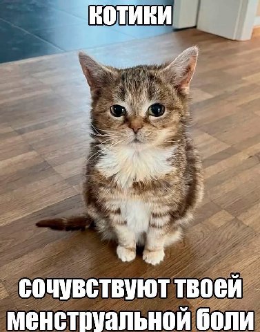 открытка кому-то ли не было